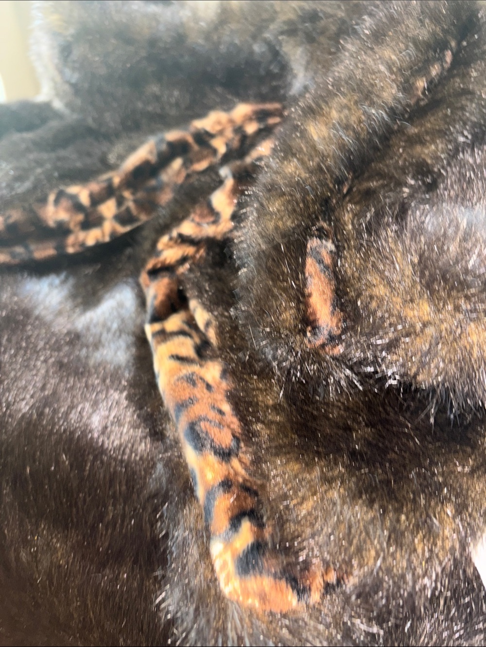 🆕 Luxury Faux Fur Throw Blanket in Dark Brown with Leopard Trim